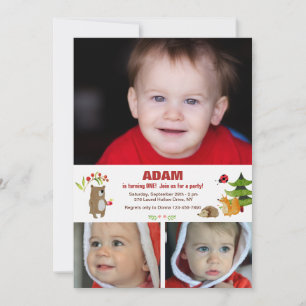 Invitation photo Forest Pals