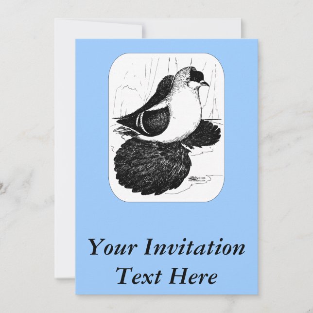 Invitation Pigeon hirondelle saxon 1978 (Devant)