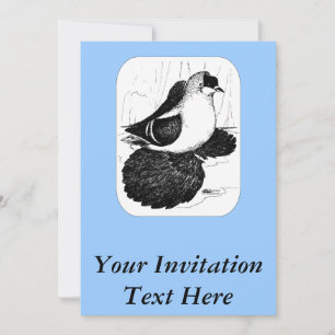 Invitation Pigeon hirondelle saxon 1978