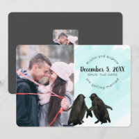 Pingouin Enregistrer la photo de la date