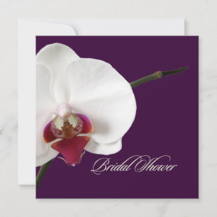 Invitation Pix-Dezines orchidées/phalaenopsis