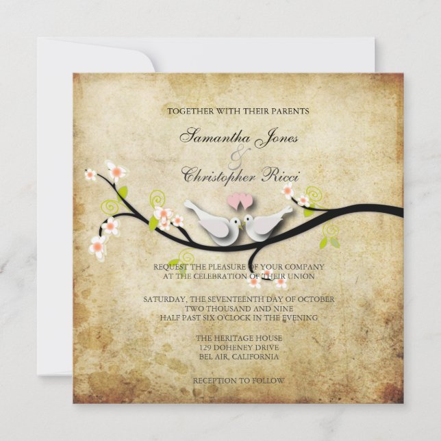 Invitation PixDezines aime les colombes/do-it-yourself couleu (Devant)