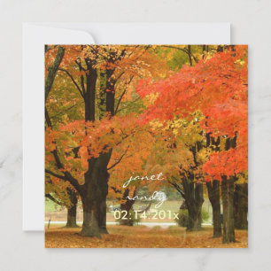 Invitation PixDezines dans les bois, événements mariages de a