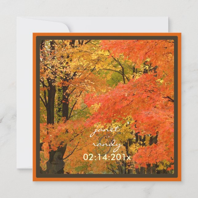 Invitation PixDezines dans les bois, événements mariages de a (Devant)