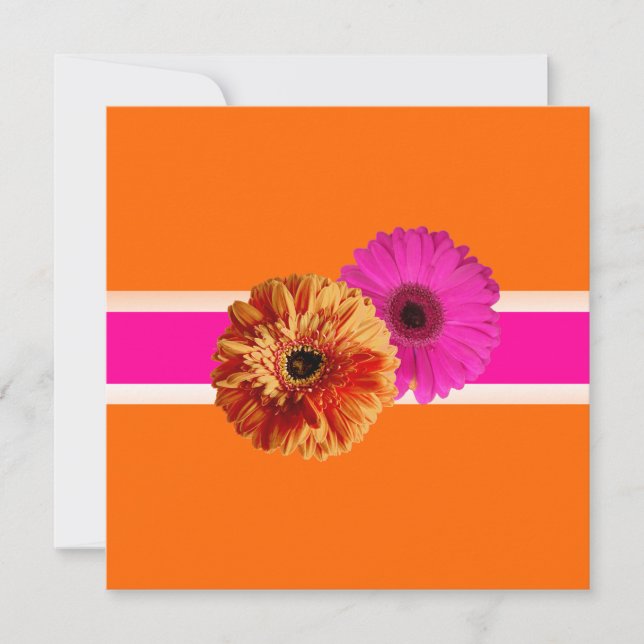 Invitation PixDezines Gerbera, orage+passion couleurs roses/d (Devant)