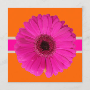 Invitation PixDezines Gerbera, rose/do-it-yourself arrière - 