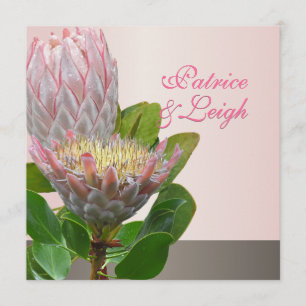 Invitation PixDezines maui protéa rose pâle/do-it-yourself fr
