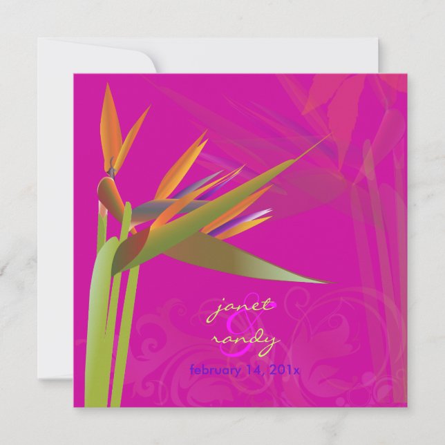 Invitation PixDezines OISEAU DE PARADISE/DO-IT-YOURSELF coule (Devant)