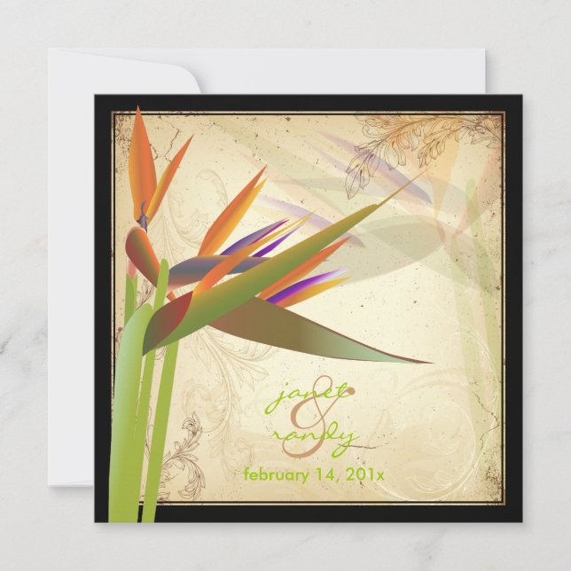 Invitation PixDezines OISEAU VINTAGE DE PARADIS (Devant)