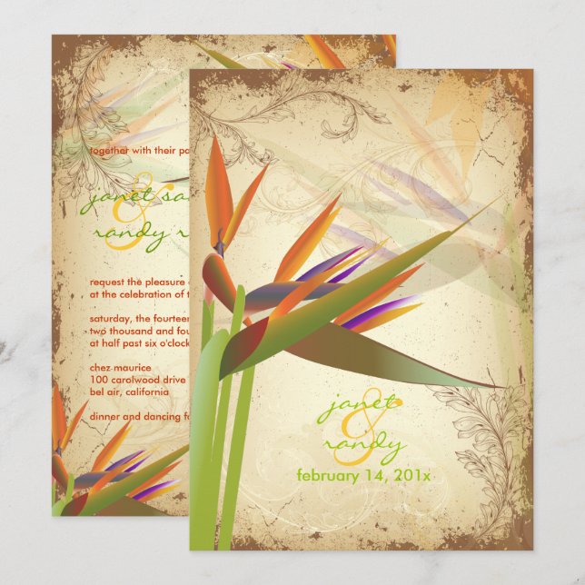 Invitation PixDezines OISEAU VINTAGE DE PARADIS (Devant / Derrière)