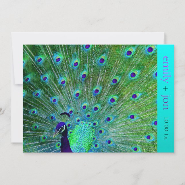 Invitation PixDezines paon plumes/aqua/turquoise (Devant)