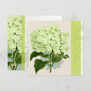 Invitation PixDezines vintage hydrangée verte