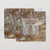 Plage de roches naturelles brutes Coquillages de m