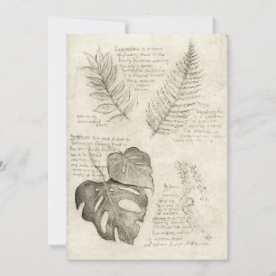 Invitation Plante