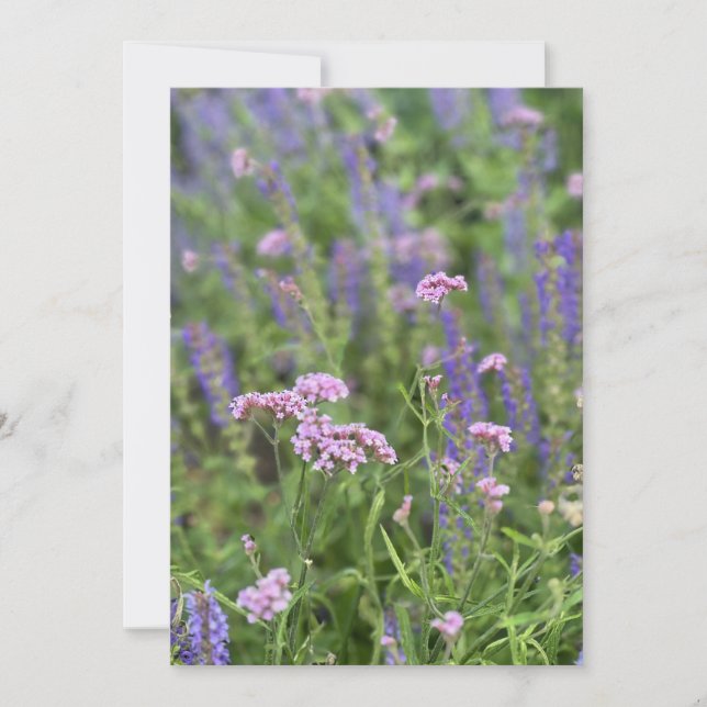 Invitation Post card  (Devant)