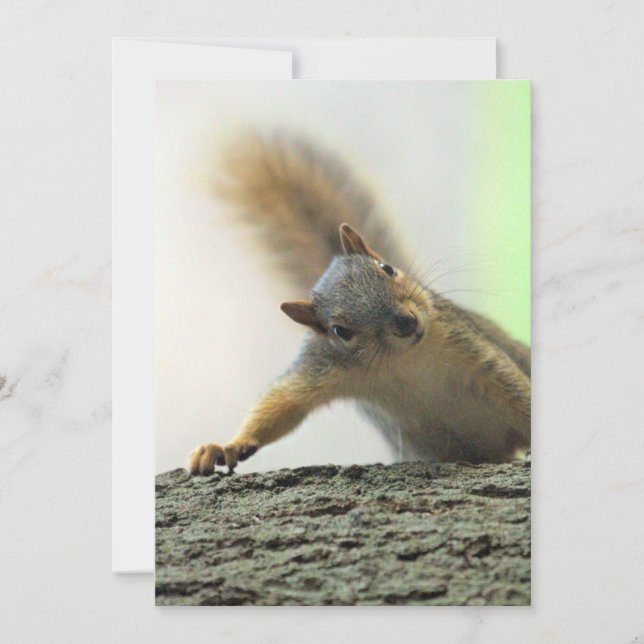 Invitation Pot (Devant)