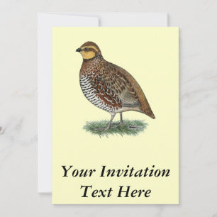 Invitation Poule de cailles