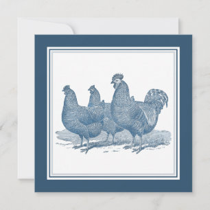 Invitation Poulets de roche de Plymouth Poules de coq bleu an