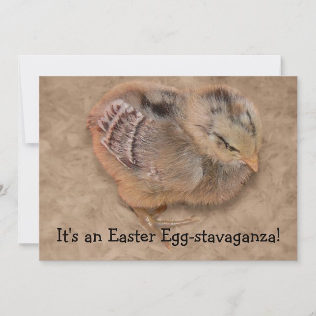 Invitation Poulets - Fluffy Baby Picken Pâques (Devant)