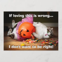 Princesse Chat avec seau de bonbons