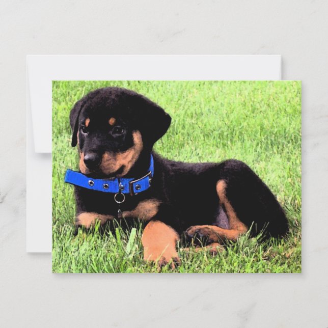 Invitation pubs de rottweiler (Devant)