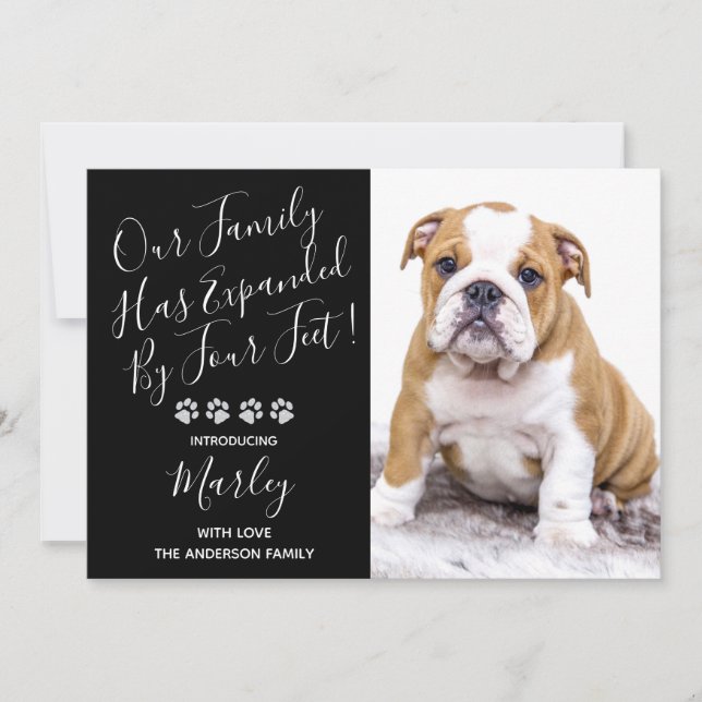 Invitation Puppy ShowParty - Black Elegant Moderne Nouveau An (Devant)