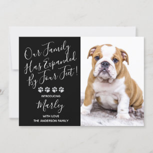 Invitation Puppy ShowParty - Black Elegant Moderne Nouveau An