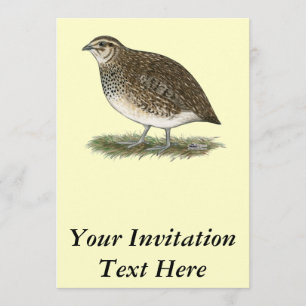 Invitation Quai Coturnix