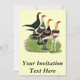 Invitation Quartet de jeu moderne