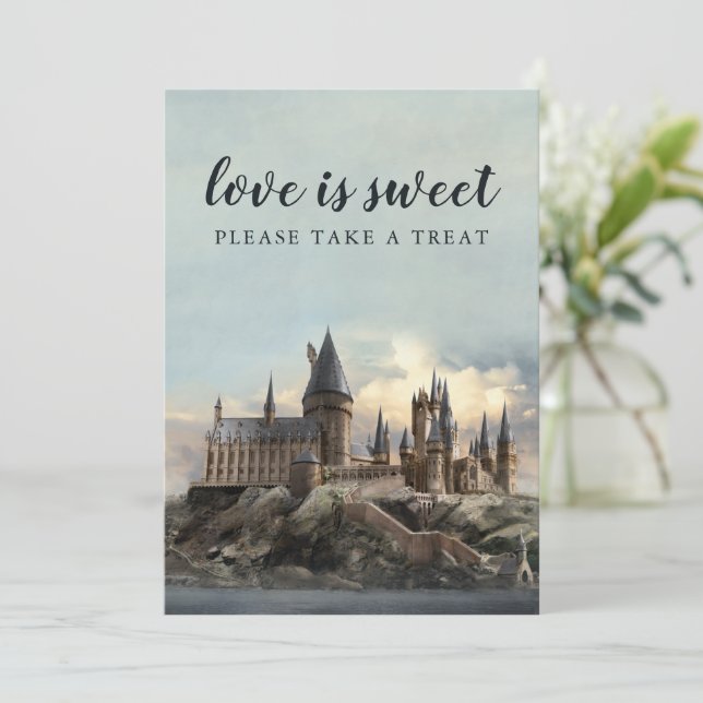 Invitation Réception De Mariage Harry Potter S'Il Vous Plaît  (Debout devant)