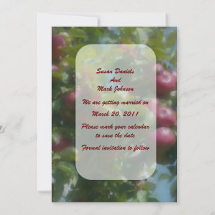 Invitation Red Apples Tree Wedding Enregistrer La Date