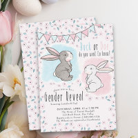 Révélation du sexe d'un lapin mignon Buck ou Doe