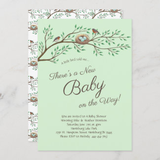 Invitation Robin Bird Spring Baby shower Co-Ed Genre Neutre
