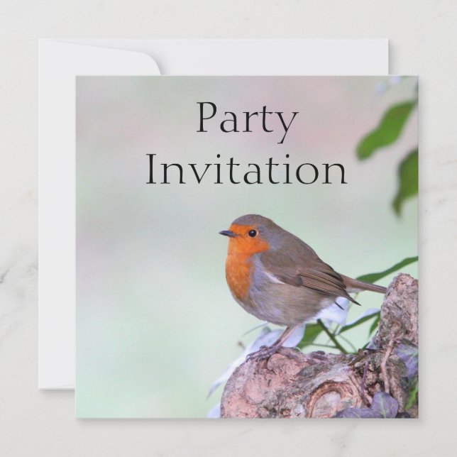 Invitation Robin Redmamy (Devant)