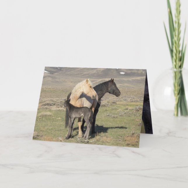 Invitation Rocket's Family Greeting Card (Devant)