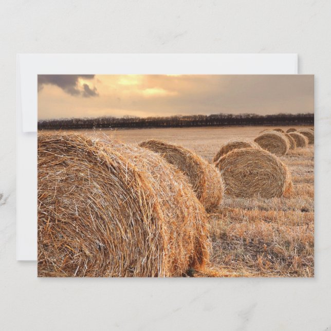 Invitation Rolls de foin (Devant)