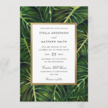 Romance tropicale II