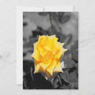 Invitation Rose jaune
