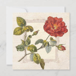 Invitation Rose Vintage Botanique Anniversaire Jardin