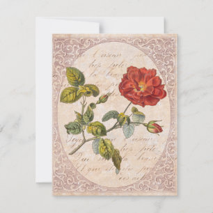 Invitation Rose Vintage Botanique Anniversaire Jardin