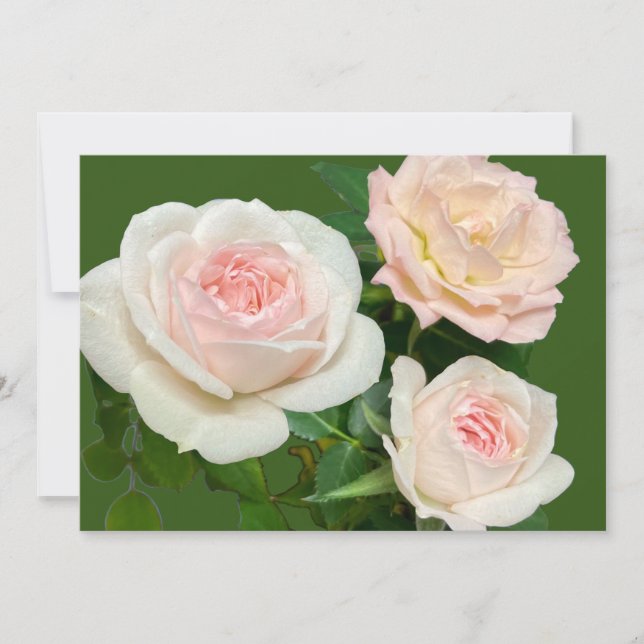 Invitation Roses romantiques blanches roses (Devant)