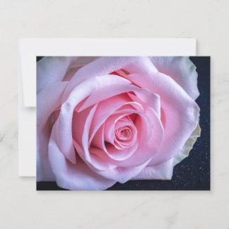 Invitation Roses roses et vertes