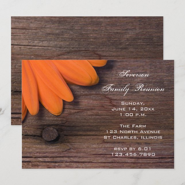 Invitation Rustique Orange Daisy Fête de la grange Réunion de (Devant / Derrière)