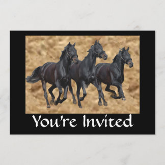 Invitation sauvage de chevaux