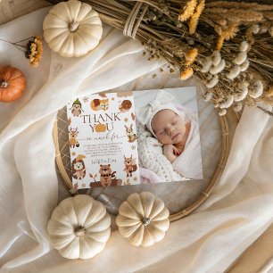 Invitation Sauvageon Photographie Anniversaire Remerciement B