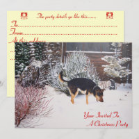 scène de neige avec joli chien noir et tacheté noë