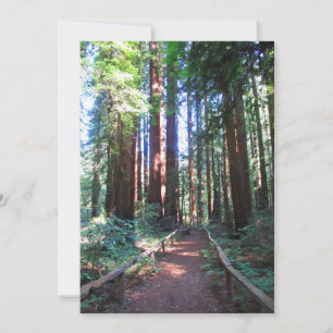 Invitation Sentier de Redwood Nord de la Californie