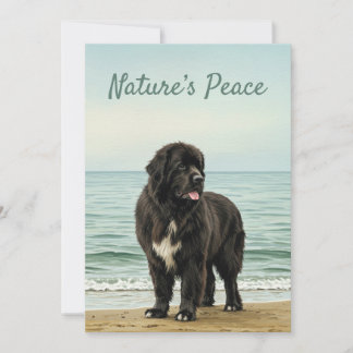 Invitation Sérénité balnéaire - Terre-Neuve Nature du chien