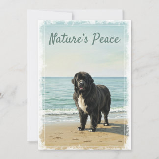 Invitation Sérénité balnéaire - Terre-Neuve Nature du chien