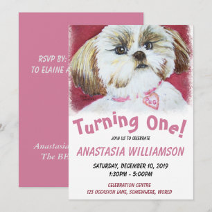 Invitation Shih Tzu d'un an